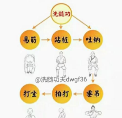 如何洗髓,理解核心概念,掌握正确方法 如何洗髓,理解核心概念,掌握正确方法