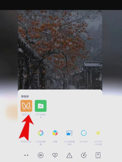 视频怎么截图,操作简单,工具多样,轻松保存画面 视频怎么截图,操作简单,工具多样,轻松保存画面
