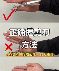 怎么拿刀,安全使用技巧,避免意外伤害 怎么拿刀,安全使用技巧,避免意外伤害