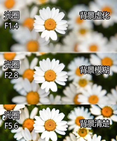 怎么虚化背景,拍出好看照片,掌握关键技巧 怎么虚化背景,拍出好看照片,掌握关键技巧