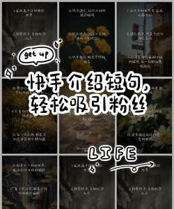 如何评论快手,了解平台特点,判断是否适合自己 如何评论快手,了解平台特点,判断是否适合自己