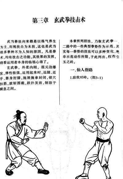 玄武怎么打,掌握核心机制,轻松应对挑战 玄武怎么打,掌握核心机制,轻松应对挑战