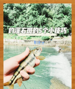 石斑鱼怎么钓,选对钓点,掌握技巧 石斑鱼怎么钓,选对钓点,掌握技巧