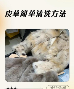 牛头毛如何快速去除,常见方法对比,选择建议 牛头毛如何快速去除,常见方法对比,选择建议