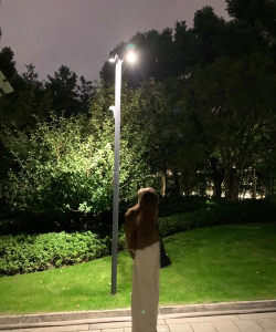 夜间拍照,掌握关键技巧,轻松拍出好照片 夜间拍照,掌握关键技巧,轻松拍出好照片