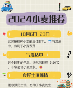 小麦怎么种,选对时间,掌握方法 小麦怎么种,选对时间,掌握方法