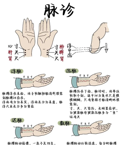 如何打脉,找准位置,掌握技巧 如何打脉,找准位置,掌握技巧