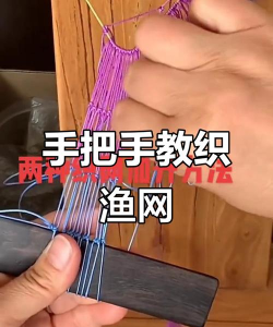 鱼网怎么用,新手入门技巧,常见问题解答 鱼网怎么用,新手入门技巧,常见问题解答