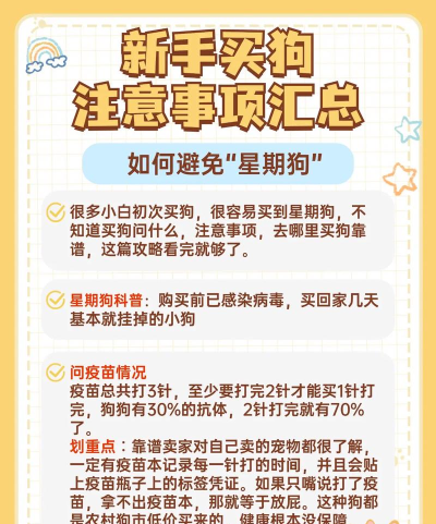 如何购买宠物,避开常见陷阱,找到健康伙伴 如何购买宠物,避开常见陷阱,找到健康伙伴