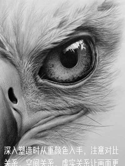鹰眼怎么画,掌握关键步骤,画出传神眼神 鹰眼怎么画,掌握关键步骤,画出传神眼神