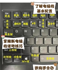 计算机怎么用,新手入门指南,快速上手技巧 计算机怎么用,新手入门指南,快速上手技巧