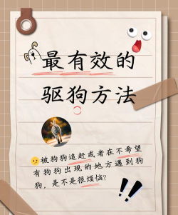 怎么驱赶狗,安全有效,避免冲突 怎么驱赶狗,安全有效,避免冲突