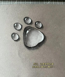 水珠如何画,掌握关键技巧,提升画面真实感 水珠如何画,掌握关键技巧,提升画面真实感