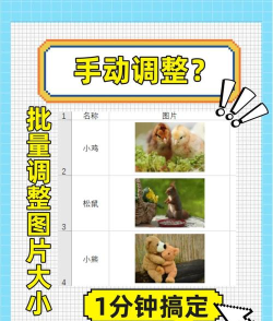 图片如何全选,快速批量操作,提升工作效率 图片如何全选,快速批量操作,提升工作效率