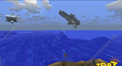 我的世界如何驯服海豚,掌握互动技巧,开启海洋冒险 我的世界如何驯服海豚,掌握互动技巧,开启海洋冒险