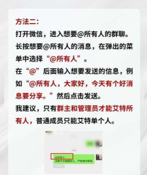 如何在群里艾特所有人,快速通知成员,掌握操作技巧 如何在群里艾特所有人,快速通知成员,掌握操作技巧