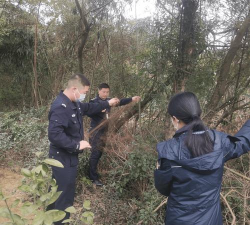 怎么捕鸟,常见方法介绍,实用技巧分享 怎么捕鸟,常见方法介绍,实用技巧分享
