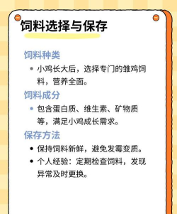 如何喂小鸡,掌握正确方法,确保健康成长 如何喂小鸡,掌握正确方法,确保健康成长