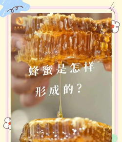 蜂巢怎么做,掌握关键步骤,轻松自制天然美味 蜂巢怎么做,掌握关键步骤,轻松自制天然美味