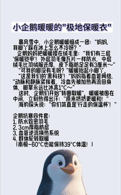 企鹅怎么养,了解基本习性,掌握关键要点 企鹅怎么养,了解基本习性,掌握关键要点