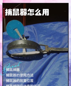 捕兽夹怎么用,掌握正确方法,避免意外伤害 捕兽夹怎么用,掌握正确方法,避免意外伤害