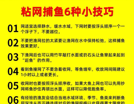 如何捉小鱼,掌握简单技巧,轻松收获乐趣 如何捉小鱼,掌握简单技巧,轻松收获乐趣