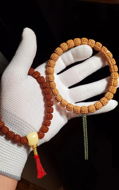 盘龙怎么样,适合新手吗,真实体验分享 盘龙怎么样,适合新手吗,真实体验分享