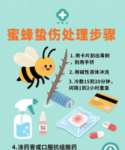 如何捕捉蜜蜂,安全有效,避免被蜇伤 如何捕捉蜜蜂,安全有效,避免被蜇伤