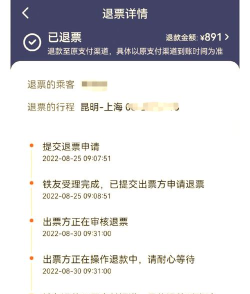手机怎么退票,操作步骤详解,常见问题解答 手机怎么退票,操作步骤详解,常见问题解答