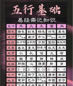 五行天,新手入门指南,快速上手技巧 五行天,新手入门指南,快速上手技巧