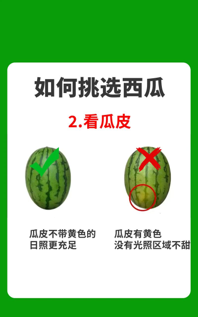 西瓜视频怎么拍,新手入门指南,快速上手技巧 西瓜视频怎么拍,新手入门指南,快速上手技巧