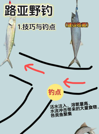 怎么钓到大鱼,选对位置,耐心等待 怎么钓到大鱼,选对位置,耐心等待