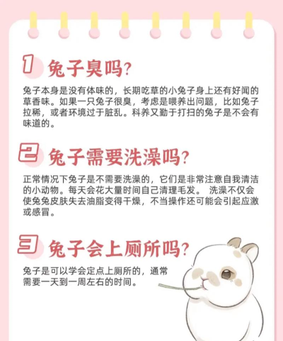 怎么养小兔子,新手入门指南,常见问题解答 怎么养小兔子,新手入门指南,常见问题解答