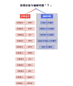 视频怎么解码,常见问题解析,实用方法分享 视频怎么解码,常见问题解析,实用方法分享