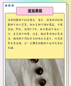 种子怎么下,常见问题,实用方法 种子怎么下,常见问题,实用方法