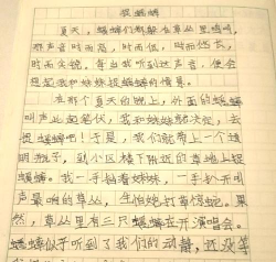 如何捉蟋蟀,掌握关键技巧,享受童年乐趣 如何捉蟋蟀,掌握关键技巧,享受童年乐趣