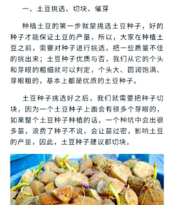 土豆怎么种的,选对品种,掌握关键步骤 土豆怎么种的,选对品种,掌握关键步骤