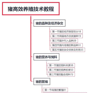 猪怎么养殖,掌握关键步骤,实现高效饲养 猪怎么养殖,掌握关键步骤,实现高效饲养