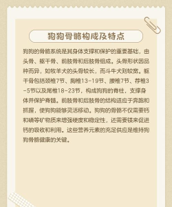 狗是如何繁殖,了解基本过程,掌握关键要点 狗是如何繁殖,了解基本过程,掌握关键要点
