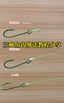 金鱼怎么钓,掌握技巧,轻松上钩 金鱼怎么钓,掌握技巧,轻松上钩