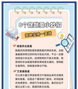 跳蚤怎么抓,快速有效方法,家庭实用技巧 跳蚤怎么抓,快速有效方法,家庭实用技巧