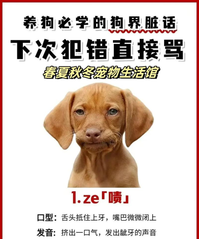 狗语怎么说,理解狗狗情绪,掌握沟通技巧 狗语怎么说,理解狗狗情绪,掌握沟通技巧
