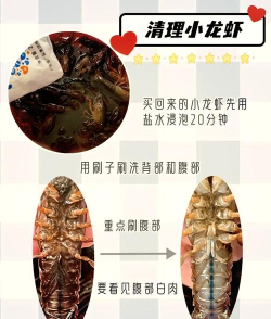 怎么刷龙虾,清洗技巧分享,轻松处理不费劲 怎么刷龙虾,清洗技巧分享,轻松处理不费劲