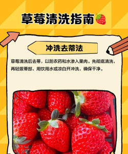 草莓怎么弄,清洗保存有技巧,吃法多样更美味 草莓怎么弄,清洗保存有技巧,吃法多样更美味