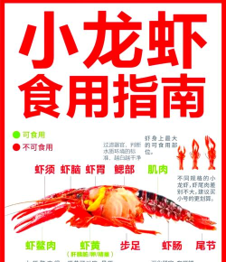 龙虾怎么刷,清洗步骤详解,轻松处理不扎手 龙虾怎么刷,清洗步骤详解,轻松处理不扎手