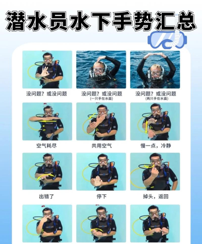 如何潜水游泳,掌握基本技巧,提升水下体验 如何潜水游泳,掌握基本技巧,提升水下体验