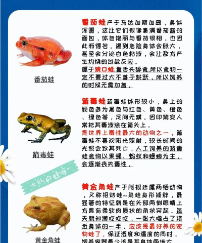 如何泥蛙,养殖方法,常见问题解答 如何泥蛙,养殖方法,常见问题解答