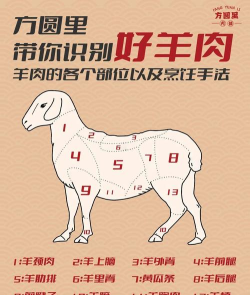 山羊如何去角,操作步骤详解,新手也能轻松上手 山羊如何去角,操作步骤详解,新手也能轻松上手