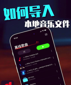 苹果音乐怎么导入,操作步骤详解,常见问题解决 苹果音乐怎么导入,操作步骤详解,常见问题解决