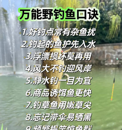 如何钓光鱼,掌握关键技巧,提升上钩率 如何钓光鱼,掌握关键技巧,提升上钩率